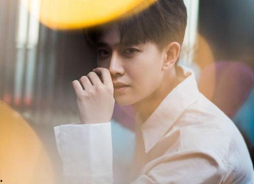 邢菲最新爆料新闻视频播放,揭秘幕后故事，视频播放引发热议  第1张